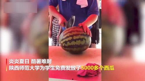 幼教老师吃瓜视频大全集,揭秘幼儿园里的欢乐时光