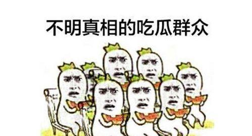 吃瓜群众接龙视频大全,趣味横生的网络狂欢盛宴